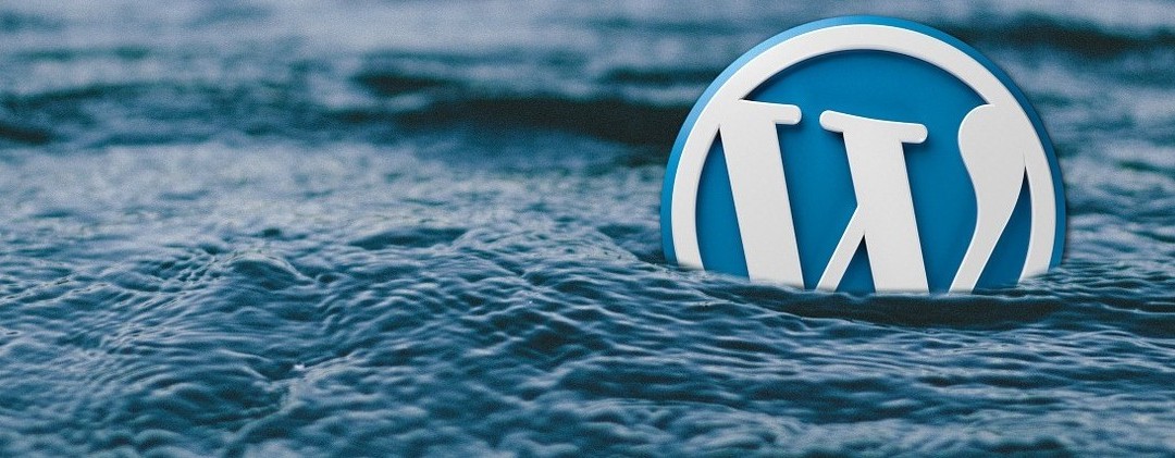 Top 4 Reasons Why Developers Love WordPress